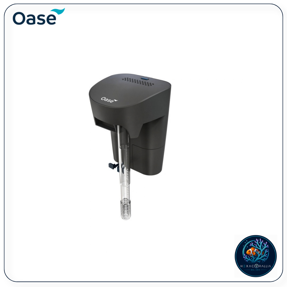 Oase Biostyle