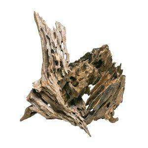 AQpet Dragon Wood Legno Naturale