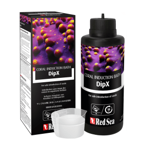 Red Sea – DipX
