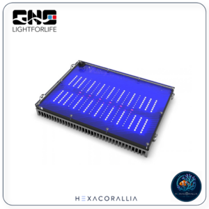 Gnc BluRay X M