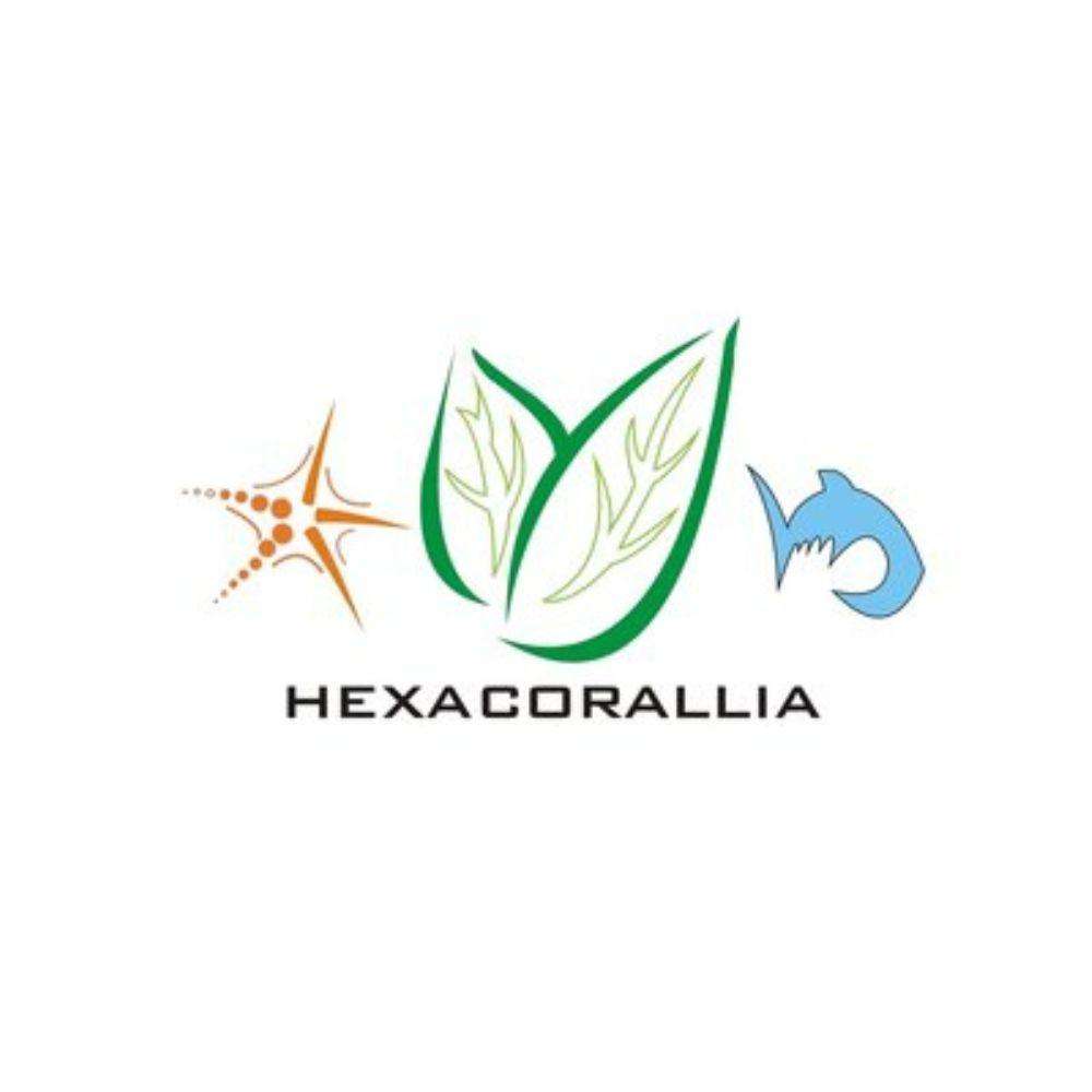 Logo Hexacorallia