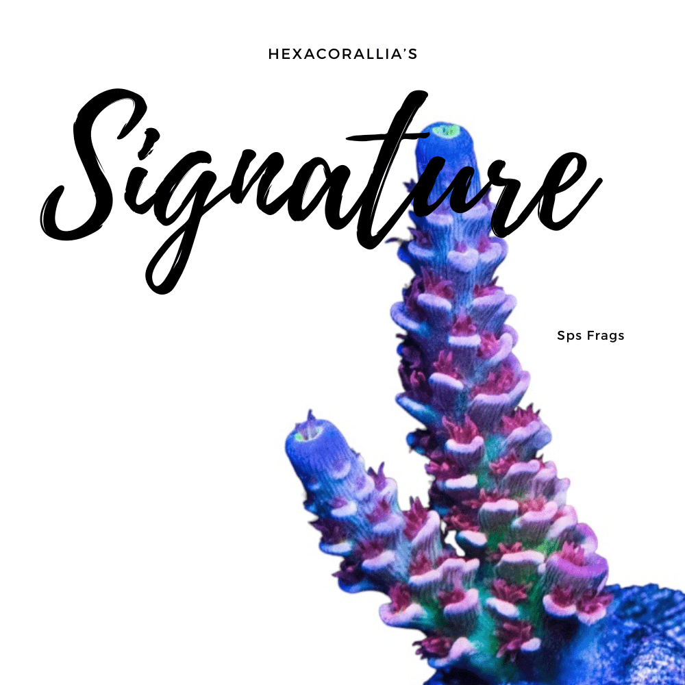 Signature SPS frag