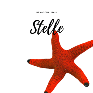 Stelle Marine
