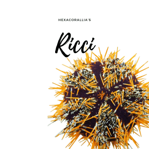 Ricci