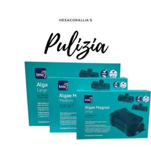 Pulizia