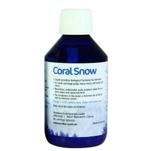 Korallen-Zucht Coral Snow