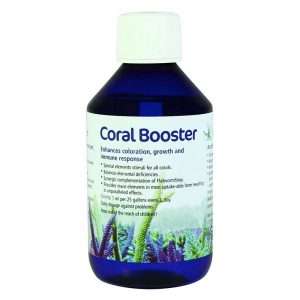 Korallen-Zucht Coral Booster