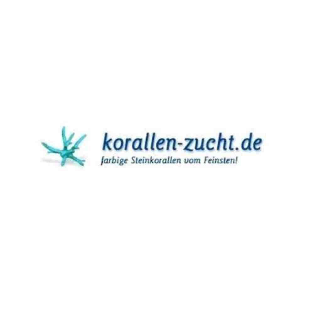 korallen