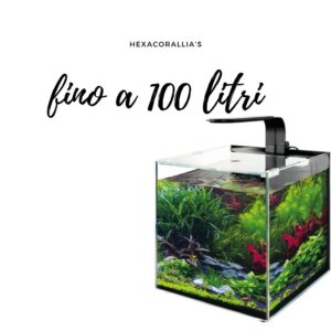 Acquari di acqua dolce fino a 100 litri