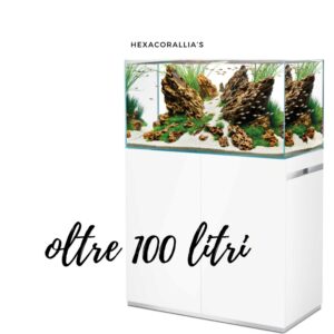 Acquari di acqua dolce oltre i 100 litri