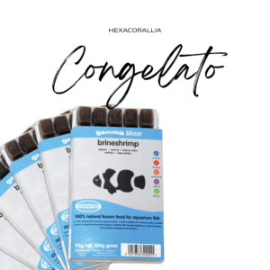 Congelato