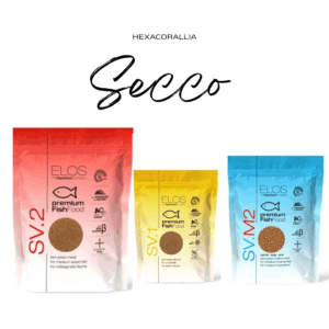 Secco