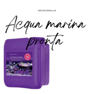 Acqua marina pronta