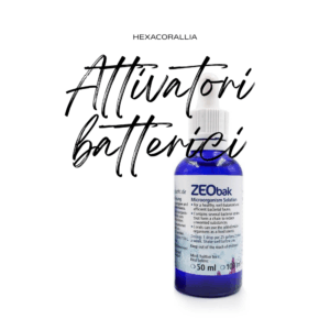 Attivatori batterici