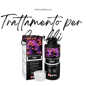 Trattamento per coralli