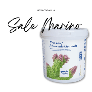 Sale Marino
