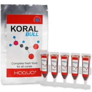 xaqua koral bull