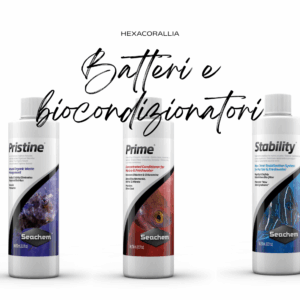 Biocondizionatori e batteri