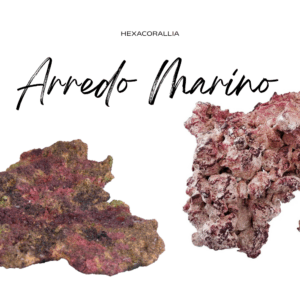 Arredi marino
