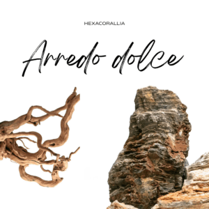 Arredi dolce