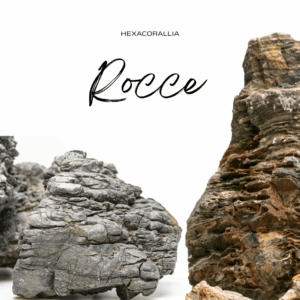 Rocce