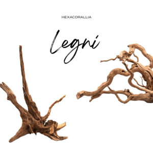 Legni