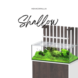 Shallow