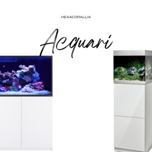 Acquari