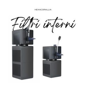 Filtri interni