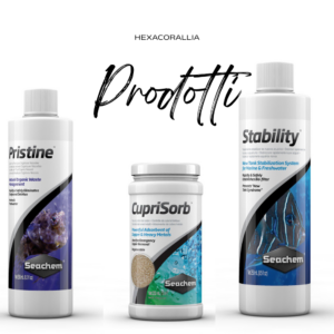 Prodotti