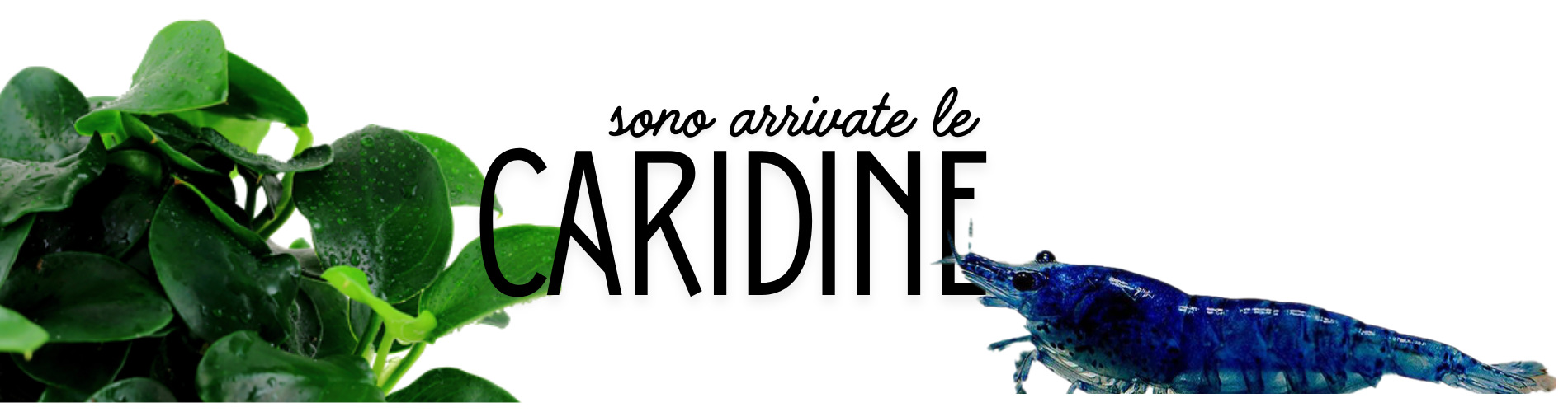 Progetto senza titolo