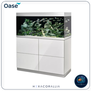 Oase HighLine Optiwhite 300