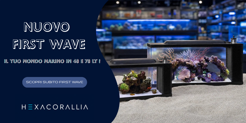Banner Hexacorallia: acquari First Wave nano da 46 e 78 litri per acquario marino