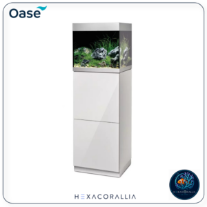 Oase HighLine 125