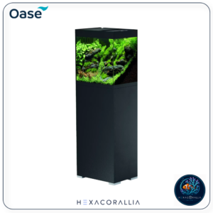 Oase StyleLine 85