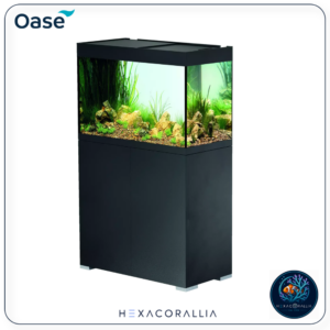 Oase StyleLine 175