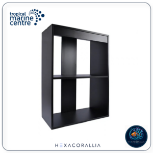 TMC First Wave Supporto