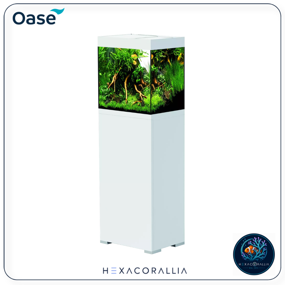 Oase StyleLine 85