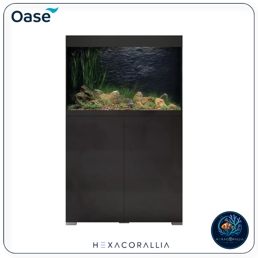 Oase StyleLine 175 vasca