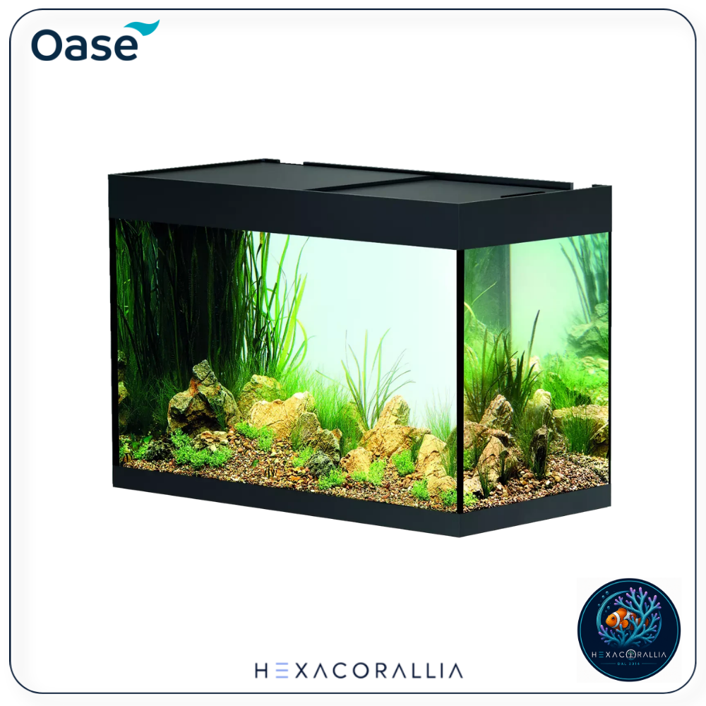 Oase StyleLine 175 vasca