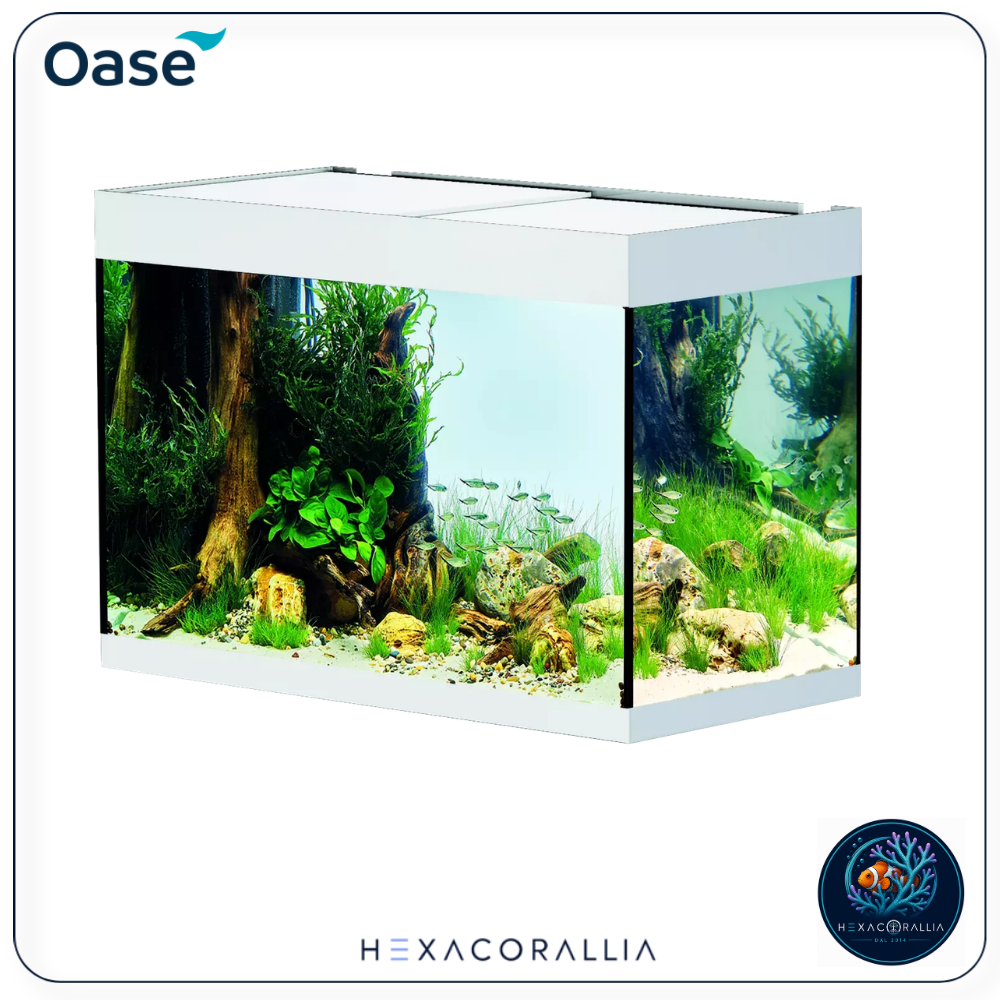 Oase StyleLine 175 vasca