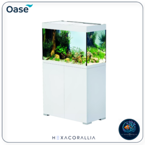 Oase StyleLine 175